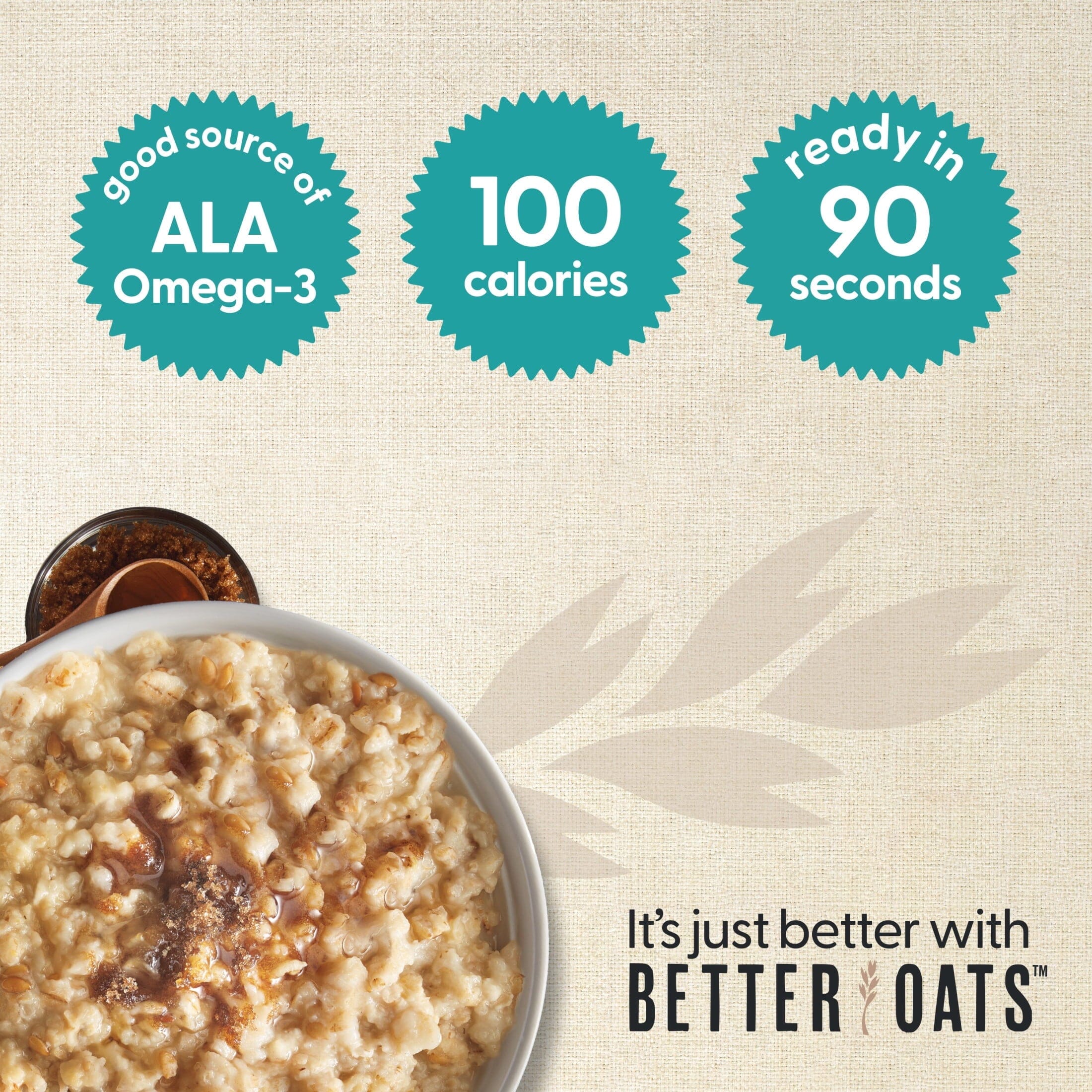 Better Oats 100 Calorie Apples and Cinnamon Oatmeal with Flax Seeds, 10 Instant Oatmeal Packets, 9.8 oz Pack