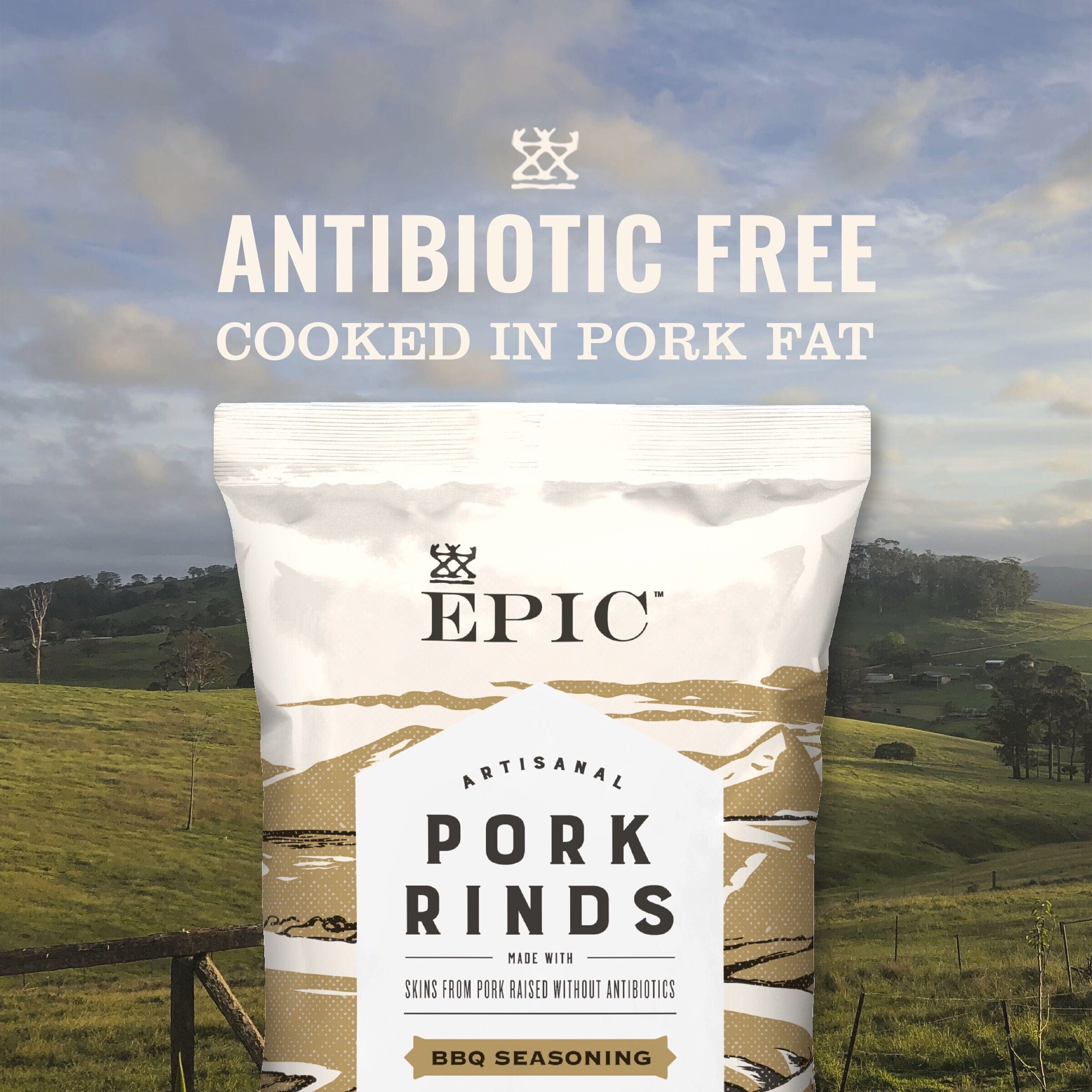 EPIC BBQ Pork Rinds Gluten Free, 2.5 Ounce