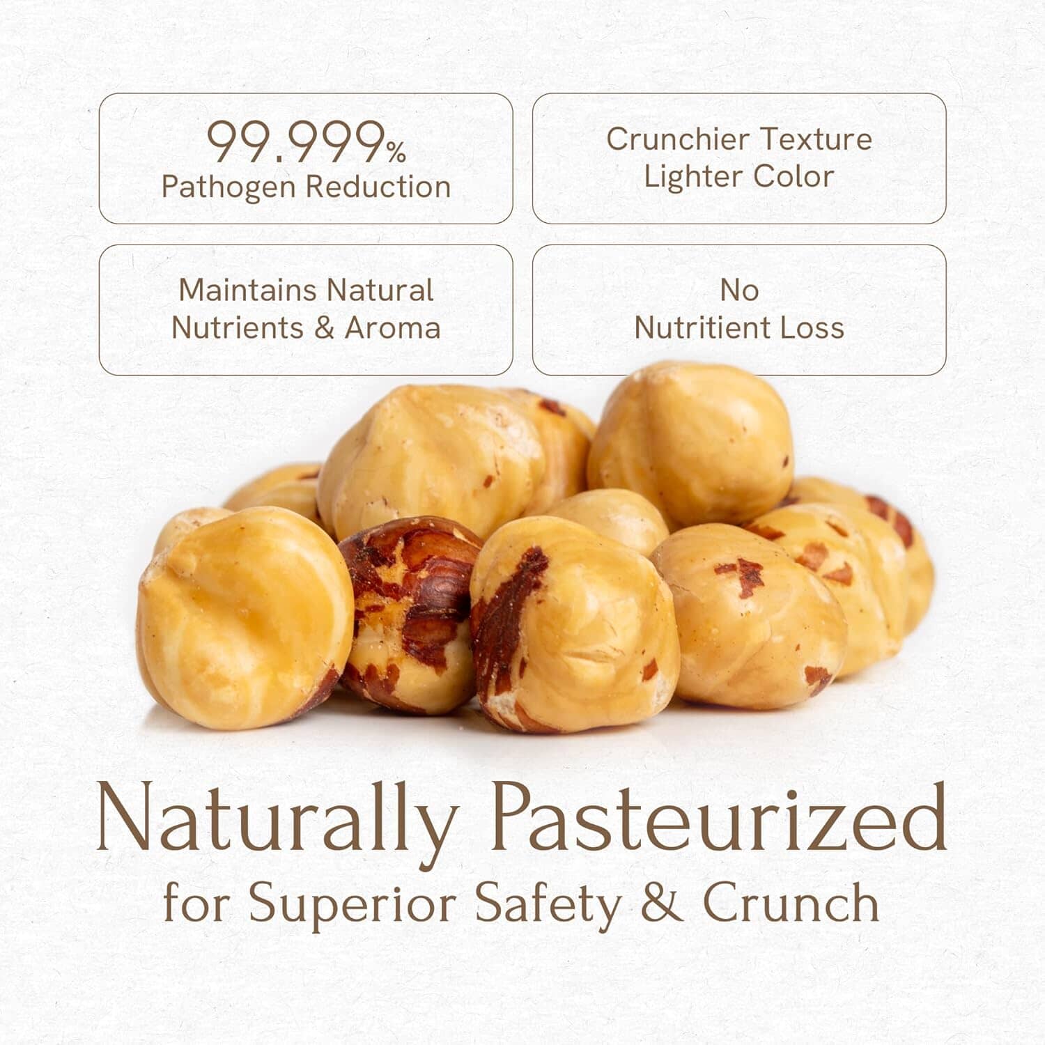 Snackathon Roasted Oregon Hazelnuts, Unsalted, Dry Roasted, Whole Filberts, Premium Natural Nuts Grown in USA, 1 LB Resealable Bag, Healthy Snack, Ideal for Baking, Nut Butters & Recipes