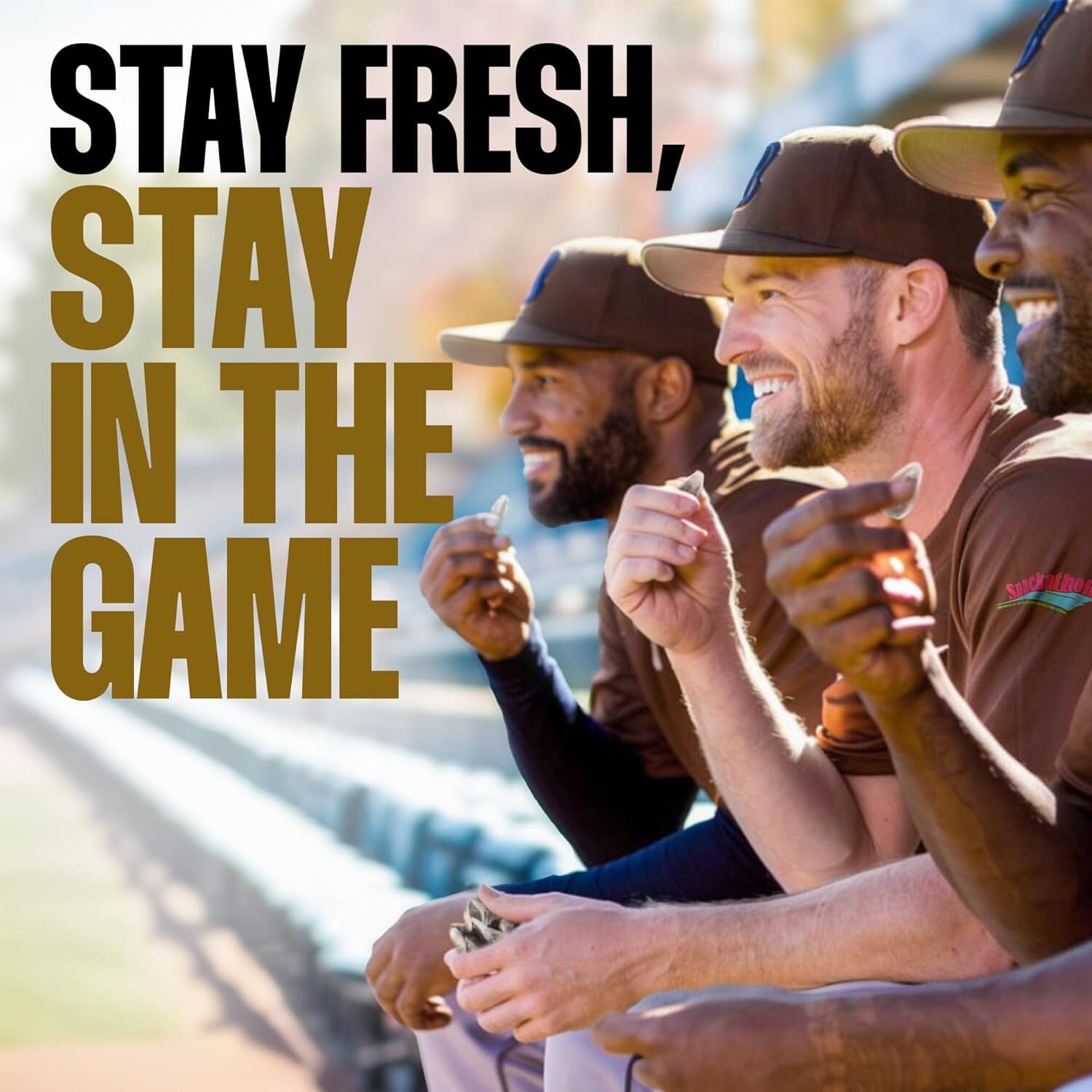 Snackathon In-Shell Roasted Sunflower Seeds – 4 Flavor Variety Pack (Original, Ranch, BBQ, Dill Pickle), 4 Resealable Bags, Premium Snack